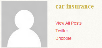 car-insurance-spam-profile