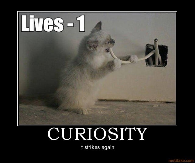 Curiosity killed the cat