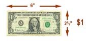 Standard US One Dollar Bill