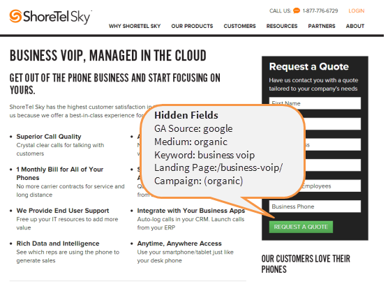 Example of a form with hidden lead source fields