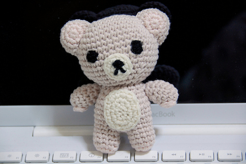 teddy on computer